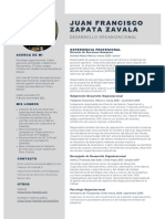 CV Juan Francisco Zapata 2020