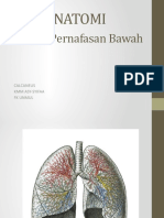 Sistem Pernafasan Bawah