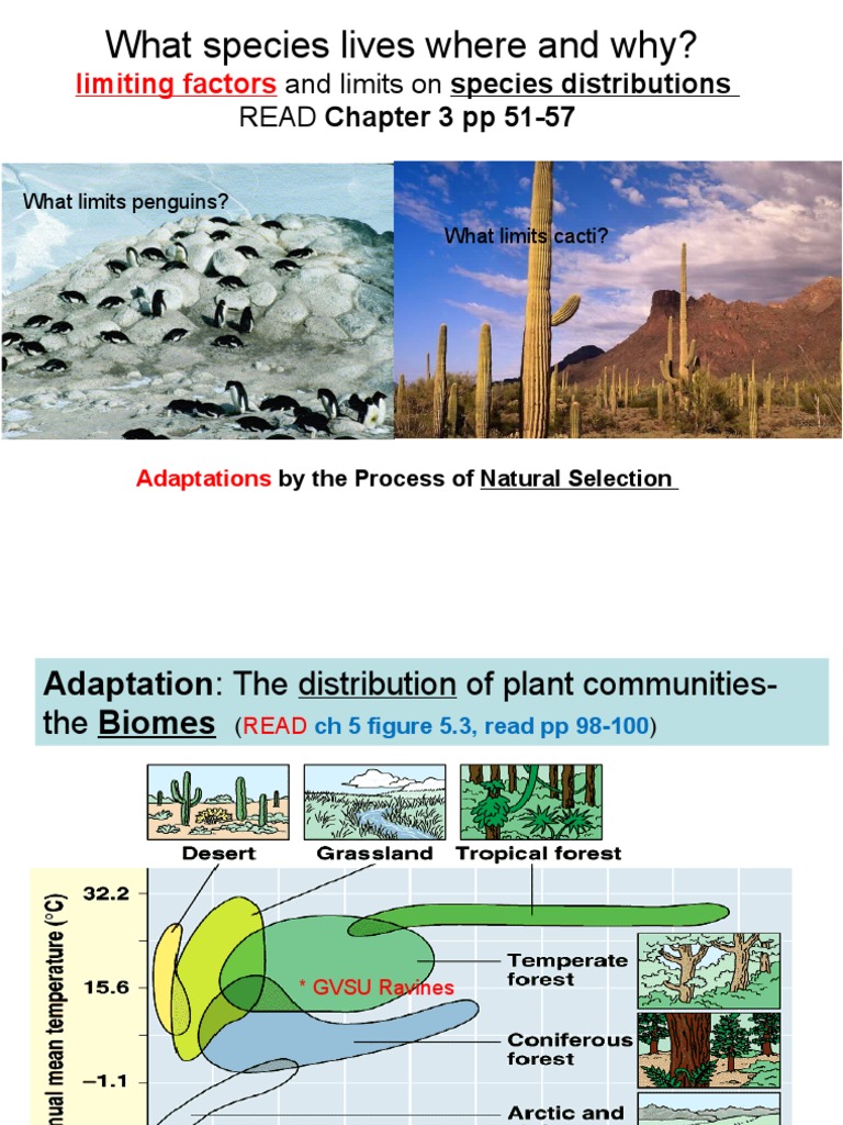 Bio105-L11 - Adaptation and Survival - F20 | PDF | Natural Selection ...