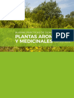 Buenas Prácticas de Domesticación de Plantas Aromáticas y Medicinales