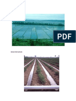 Sistemas de riego agrícola