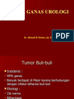 Tumor Urogenital