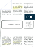 Aula 060 - Paulo Defende-se em Jerusalm.pdf