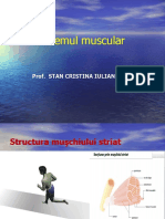 287-Sistemul Muscular Final.ppt