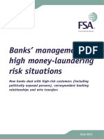 Fsa Aml Final Report