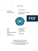 Ko Resmi Praktikum Identifikasi Gugus Fungsi Karboksilat-Bella