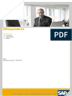 SAP Setup Guide