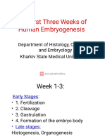 The First Three Weeks of Human Embryogenesis