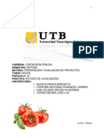 Proyecto Tomates Organicos