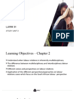 Understanding Labour Relations Perspectives