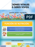 Presentacion Sobre La Función y Nutrición.