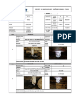 Reporte de Inspección NDT - Muñones de Gata - TD012 - (08.03.21)