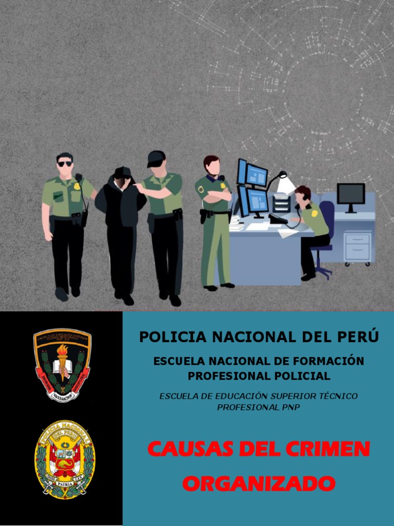 Causas del Crimen Organizado en Perú | PDF | Crimen organizado | Estado ...