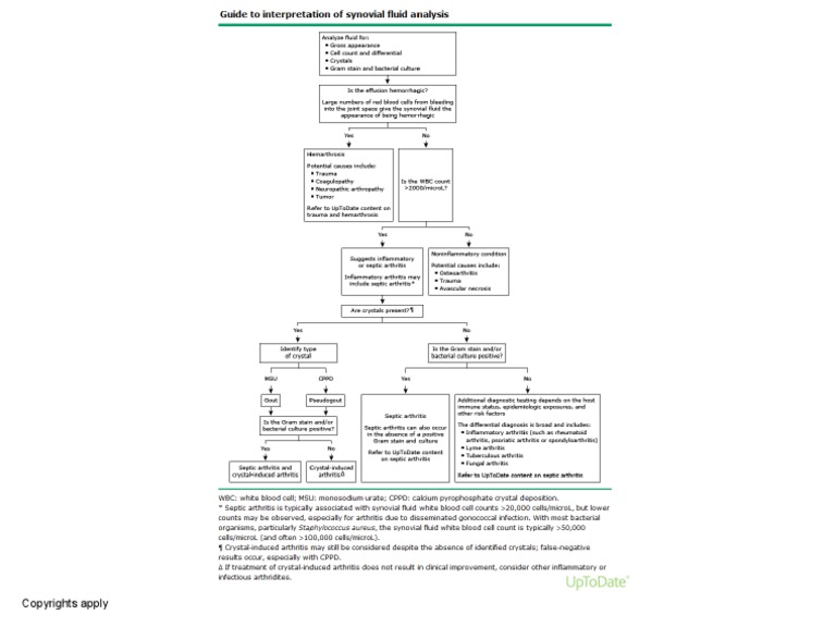 Guide To Interpretation of Synovial Fluid Analysis | PDF