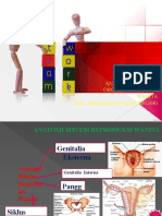 Anatomi Fisiologi Organ Reproduksi Wanit