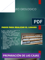 Pasos Logueo Geológico