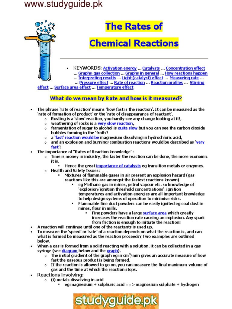 Understanding Reaction Rates | PDF | Reaction Rate | Catalysis