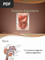 Sistema Digestório - 8º Anos