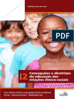 Concepções e Diretrizes Da Educação Das Relações Étnico-Raciais