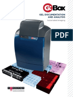 Gel Documentation and Analysis: Automated Imaging