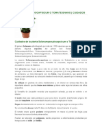 plantas 56-