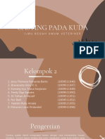 Kelompok 2B - Casting Pada Kuda