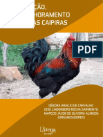 Genes leptina e receptor no melhoramento de galinhas caipiras