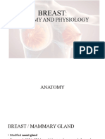 Anatomy and Physiology: Breast