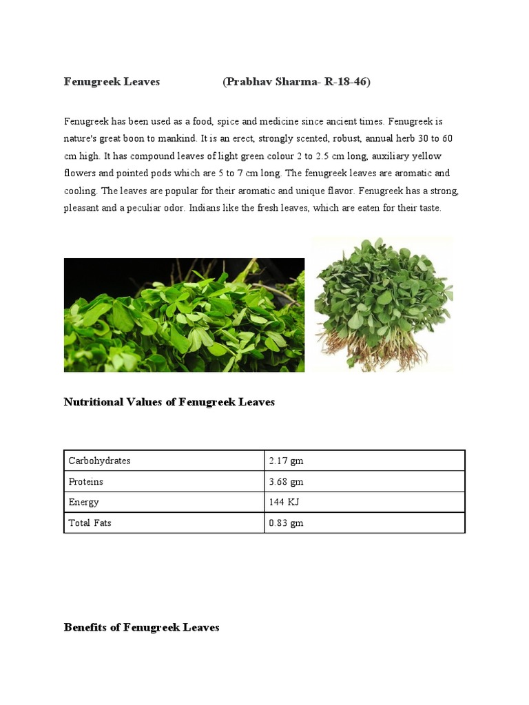 tepin pepper plant Chiltepin Tepin Hot Pepper, chile de monte  Everglades Farm