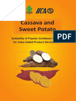 Cassava and SP Iica