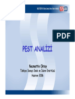 1255436676r6791.7. Sunum Pest Analizi