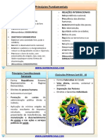 RESUMO DIREITO CONSTITUCIONAL