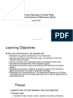 25. Clinical Osteology of Chest Walls and Clinical Anatomy of Mammary Gland