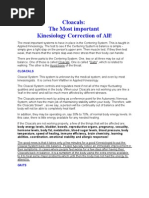 Download Cloacals by Marinejet SN50131030 doc pdf