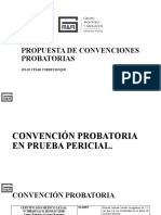 Propuesta de Convenciones Probatorias.
