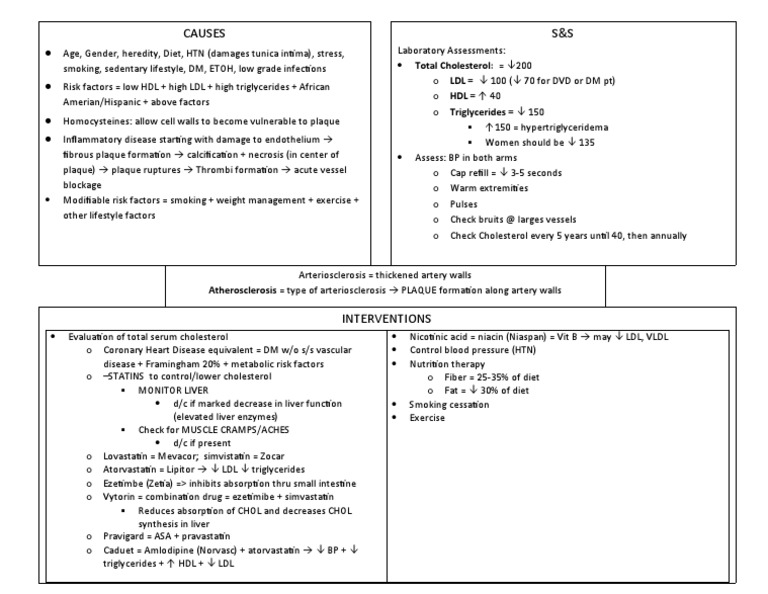 Understanding Atherosclerosis Causes & Interventions | PDF ...