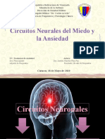 Ciruitos Neurales Del Miedo y La Ansiedad