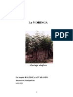 Moringa Oleifera Hippocratus