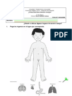 GUIA CIENCIAS CORAZÓN (1)