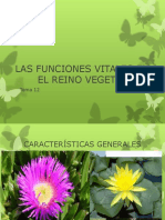 Funciones Vitales de Las Plantas