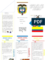 Folleto Ramas Del Poder