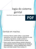 Semiologia do sistema genital