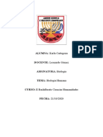 Ensayo de Biología Humana