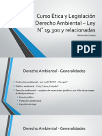 6._Derecho_Ambiental_-_Ley_N__19.300
