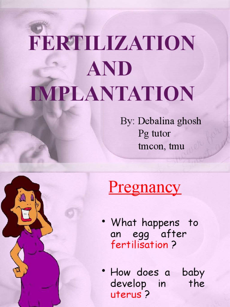 Fertilization and Implantation Process | PDF | Placenta | Fertilisation