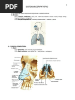 9.sistema_respiratorio