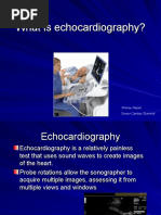 ASE Guidelines for LV Chamber Quantification | PDF | Ventricle (Heart ...