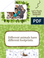 Let's Track Down The Animals!