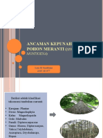 Ancaman Kepunahan Pohon Meranti (Shorena Montigena)