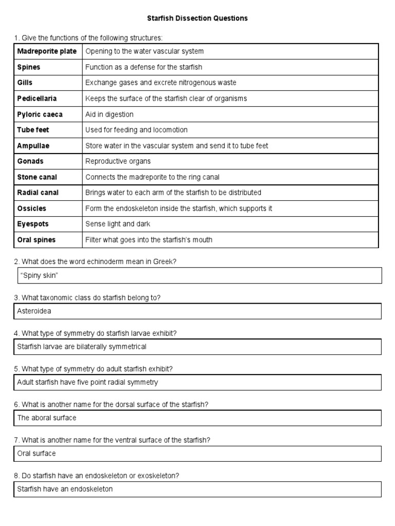 Sean Burke Starfish Dissection Questions PDF Biology Zoology